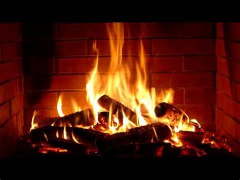 Discovering the Allure of a Crackling Fire