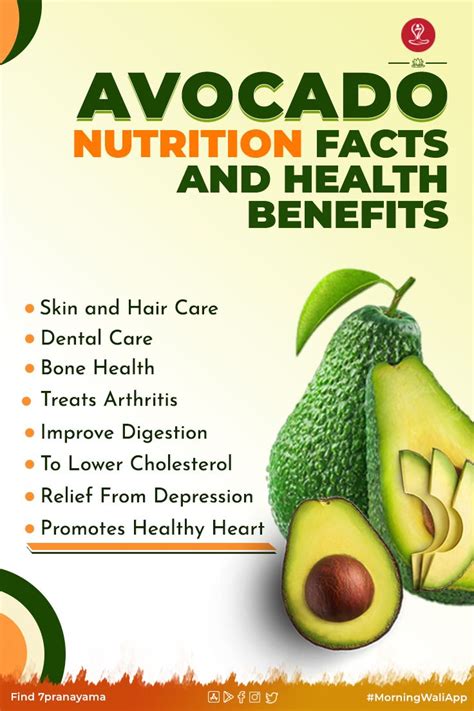 Discovering the Benefits and Nutritional Value of Indulging in Avocado