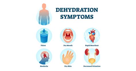 Discovering the Effects of Dehydration: Triggers, Symptoms, and Prevention