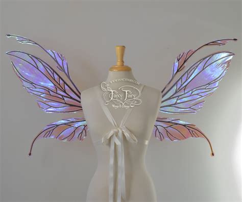 Discovering the Enchanting Variety of Fairy Wing Designs