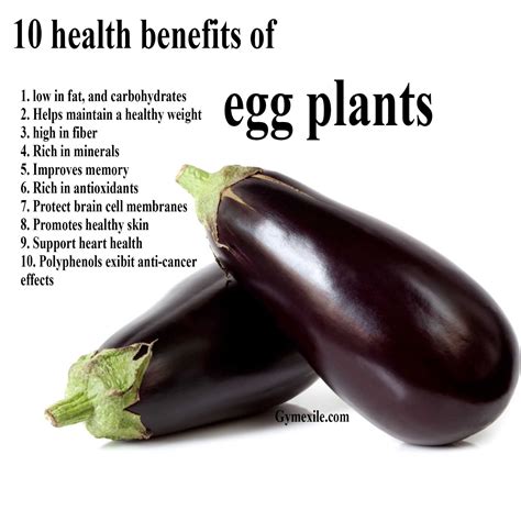 Discovering the Health Benefits of Eggplants: From Antioxidants to Heart Health