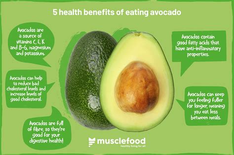 Discovering the Heart-Healthy Benefits of Avocado: Lowering Cholesterol Naturally