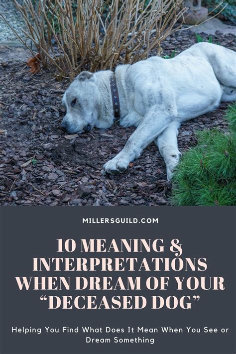 Discovering the Hidden Messages: Exploring Dreams about a Cherished Departed Canine Companion