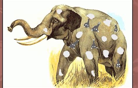 Discovering the Hidden Significance of Dreams Involving Infant Pachyderms