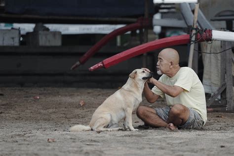 Discovering the Intriguing Behavior of Charming Canines