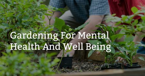 Discovering the Positive Impact of Gardening on Mental Well-being