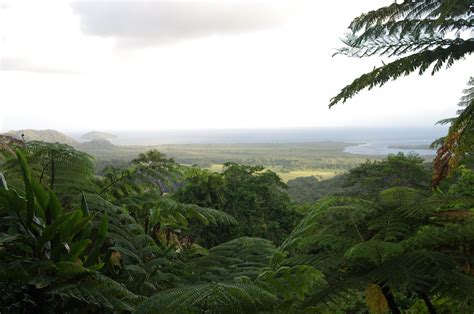 Discovering the Pristine Splendor of Ivory Shores