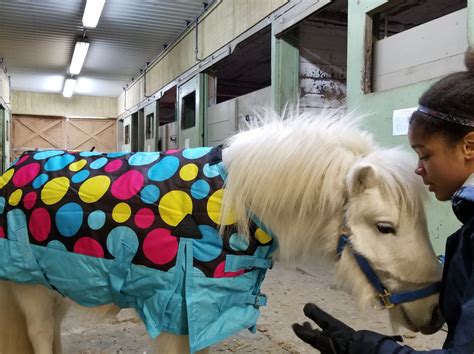 Discovering the Restorative Power of Equine Activities: Promoting Wellness and Harmony