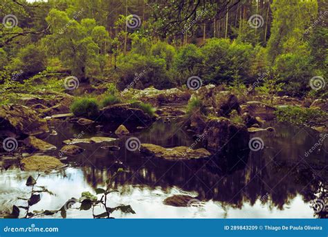 Discovering the Serene Oasis: A Journey to the Enchanting Reservoir