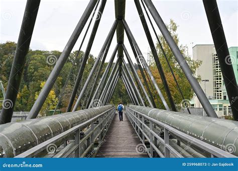 Discovering the Serenity of Crossing a Timbered Overpass