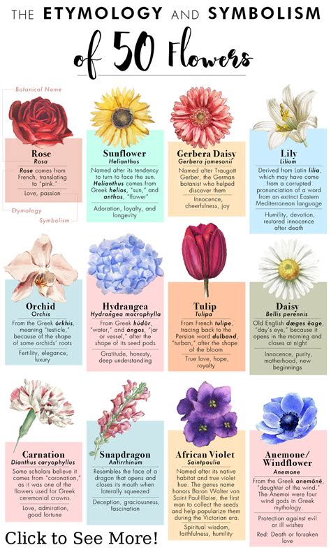 Discovering the Symbolic Meanings of Flowers: Selecting the Ideal Messages for Your Beloved