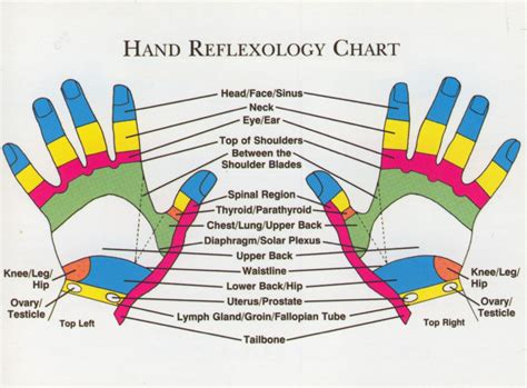 Discovering the Therapeutic Wonders of the Palm-to-Palm Connection