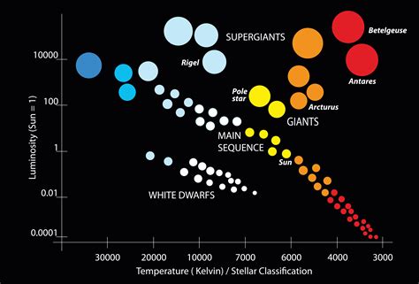 Discovering the age of the star