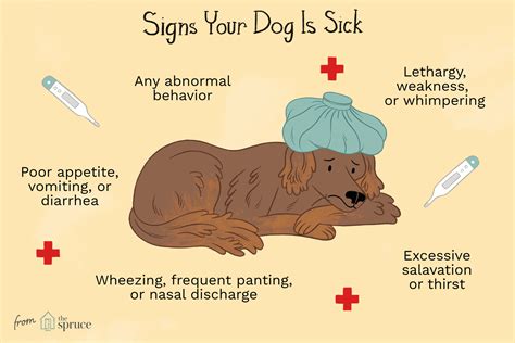 Disturbed by a Sick Dog: Causes and Interpretation