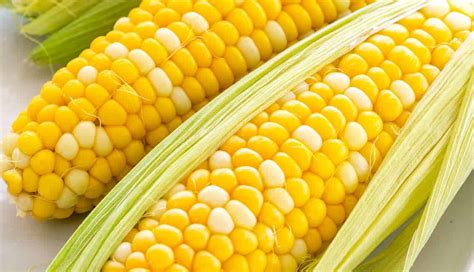 Ditch the Tradition: Alternative Methods to Cook Corn and Enhance its Flavor