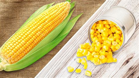 Ditching Canned Corn: Embracing the Superiority of Fresh Corn in Culinary Creations