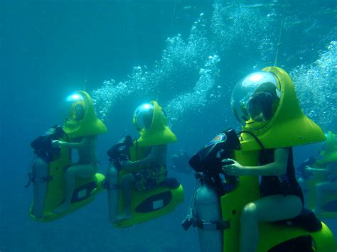 Dive into Adventure with Thrilling Shore Excursions