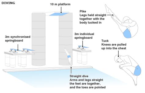 Dive into Anytha's Body Dimensions