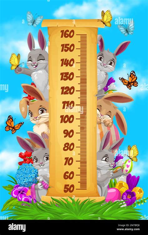 Dive into Bunny Bee's Height Measurement