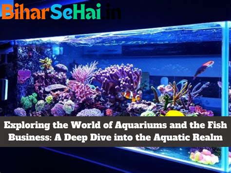 Dive into the Enchanting Realm of Aquatic Delights: Discovering the Charisma of Aquariums