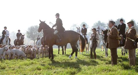 Dive into the Enthralling History of Fox Hunting: From Ancient Traditions to Modern Sport