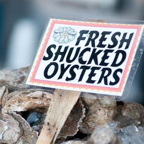 Dive into the History of Oysters: From Ancient Delicacies to Modern Delights