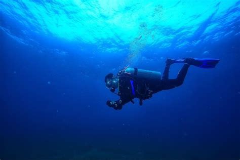 Diving Into the Depths: The Fascination of Surrendering to Someone