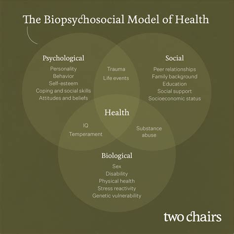 Diving into the Complex Psychology of Mental Illness