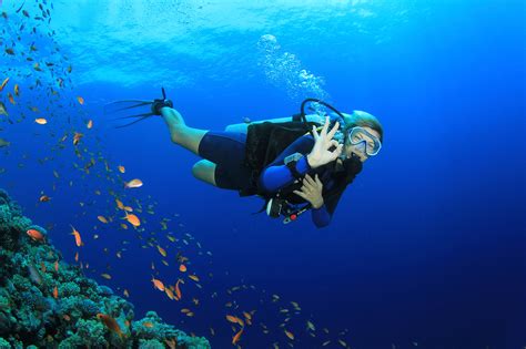 Diving into the Deep Blue: Exploring the World of Scuba Diving