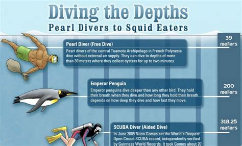 Diving into the Depths: Exploring the Habitat of Squid