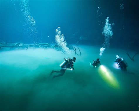 Diving into the Depths: Exploring the Hidden Wonders of the Sea