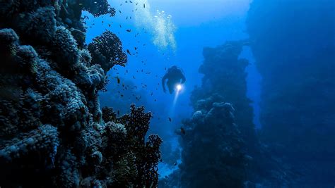 Diving into the Depths: Exploring the Intricate Meaning Behind Immersing Oneself in the Vast Waters