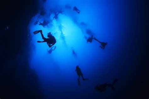 Diving into the Depths: Exploring the Significance of Sliding Through Aquatic Environments