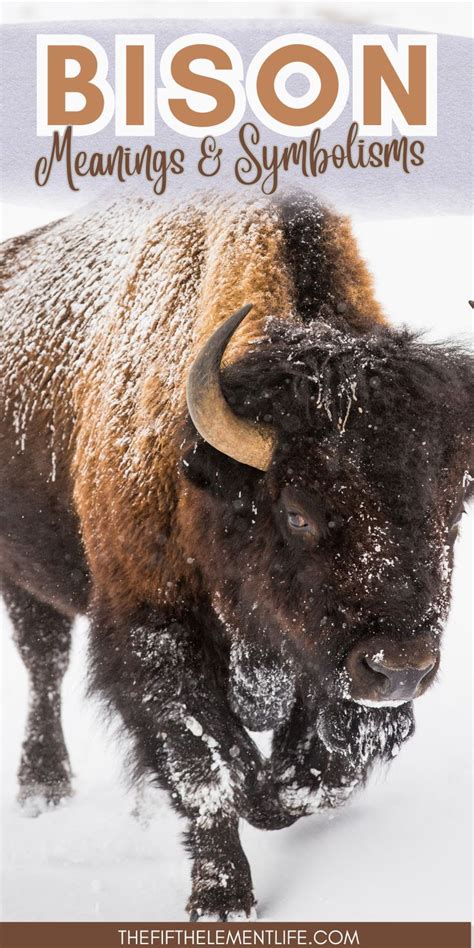 Diving into the Depths: Unraveling the Symbolism of the Majestic Bison Mind