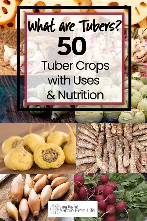 Diving into the Health Benefits of Earthy Tubers - Discovering the Nourishing and Wellness Aspects