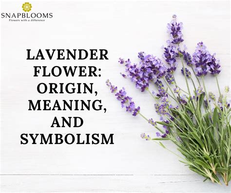 Diving into the Meaning of a Lavender Palm