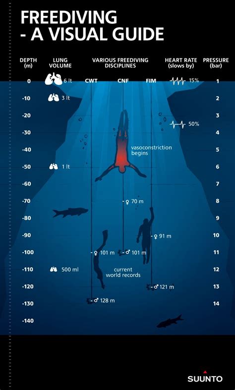 Diving into the Physique Measurements of Top A-listers