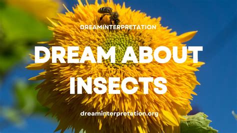 Diving into the Realm of Dreams: Interpreting Insects and Animals