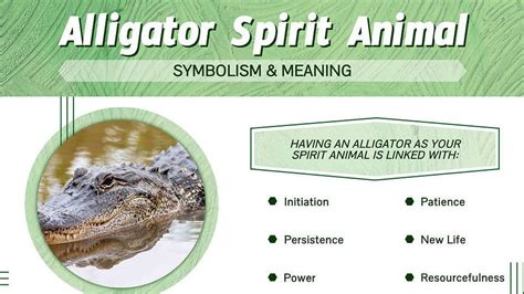 Diving into the Symbolic Significance of Alligator Eggs