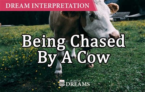 Diving into the Symbolism of Being Chased by a Mahogany Bovine