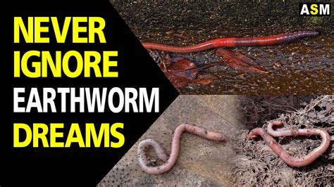 Diving into the Symbolism of Dreams: Unraveling the Meaning of Expelling Earthworms