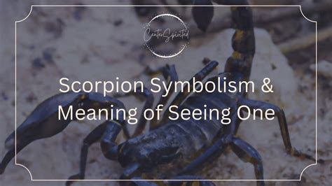 Diving into the Symbolism of Ensnaring Scorpions