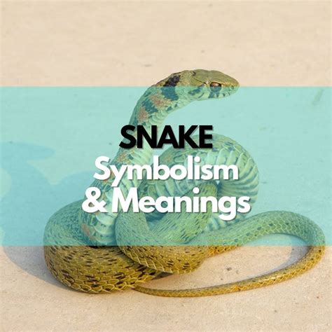 Diving into the Symbolism of Snakes