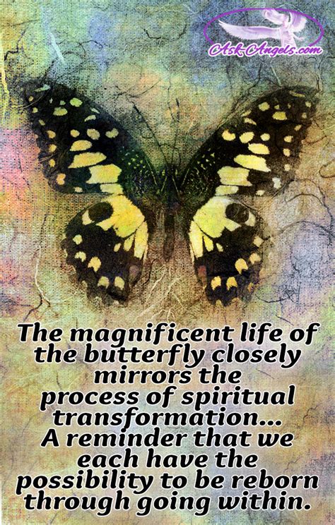 Diving into the Symbolism of a Butterfly: A Spiritual Metamorphosis