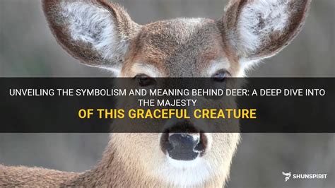 Diving into the World of Symbolism Surrounding Deer Skulls