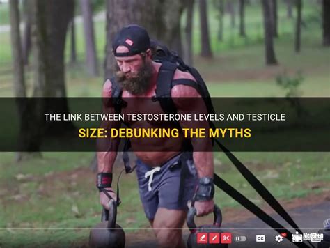 Does Size Really Matter? Debunking the Myths About Testicle Enlargement