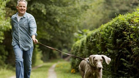 Dog Ownership and Health Benefits