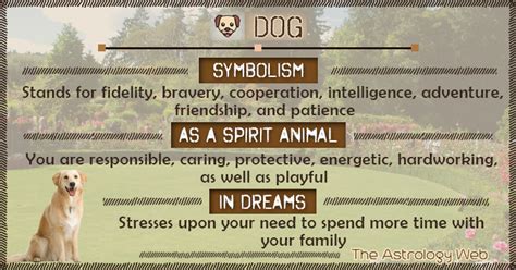 Dog Symbolism: Exploring the Profound Significance Within Dreams