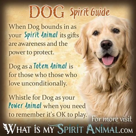 Dogs as Guides: Exploring the Spiritual Symbolism of Canines