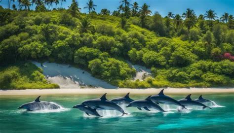 Dolphin Conservation and Rescue: Supporting Efforts to Safeguard These Majestic Creatures